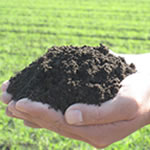 有機JAS規格別表1適合資材